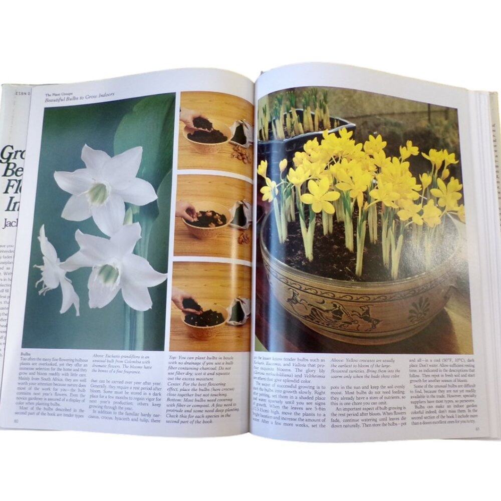 Growing Beautiful Flowers Indoors Book by Jack Kramer - Picture 4 of 4